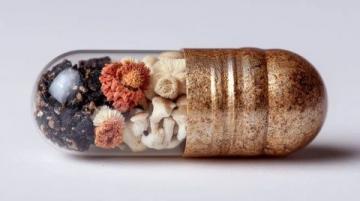 一句话概括养生理念:身心和谐共处,自然平衡健康 Leben