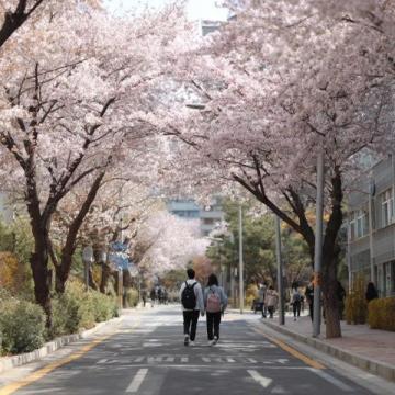 立春时节该如何养生?