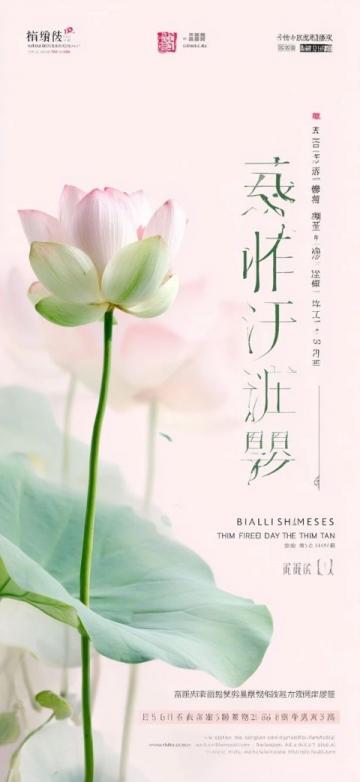 揭秘李可老中医:从扶阳出发的养生之道