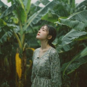 春日连阴雨情绪保养指南：拥抱雨水，享受诗意生活