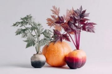 秋冬养生正当时:吃对食物强体质保健康