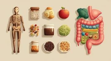 千年智慧的传承:食疗养生为何深入人心?——探秘中医饮食调和阴阳的秘密