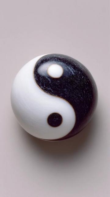 太极拳与中医经络学说的深层联系