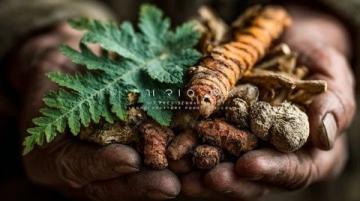中医食疗下乡:传递“药食同源”养生智慧