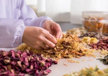 中医调理孩子鼻炎:白芷苏叶饮、薏仁汤、菟丝子茶的运用