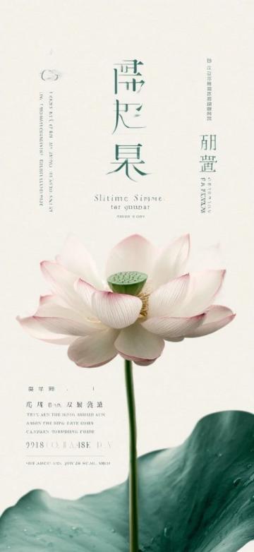 中医四季养生秘诀:调和身心,顺应自然规律