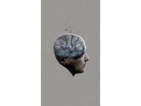 心理健康小测试：你的心理状态达标了吗？（附答案）