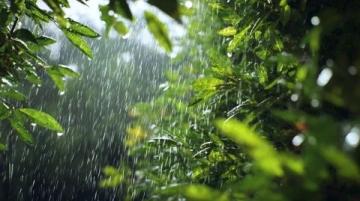 春日连阴雨情绪保养指南：拥抱雨水，享受诗意生活