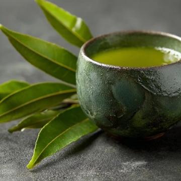 常饮桑叶茶，老人可能收获三大健康好处