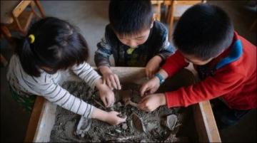 贵阳南明区举办自然采摘中草药活动弘扬中医药文化