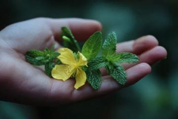 芒种之际,何以调节身心?