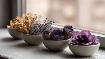 中医食疗:体质与季节适配的健康调养之道