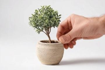 寻找持续活力的养生之道:为何你可能一直在努力但收效甚微?