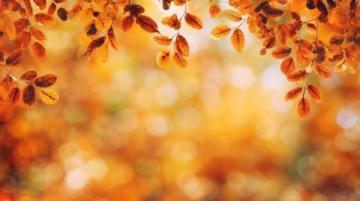 秋日养生指南:早睡早起防血栓,科学“秋冻”增强免疫力