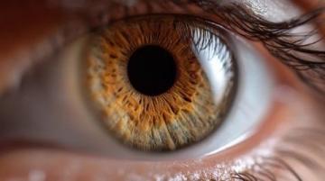 你眼中的健康是什么样子的？——儿童心理健康的那些事儿