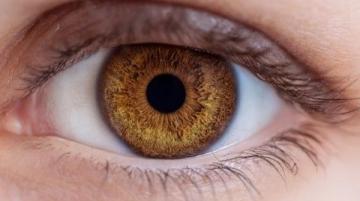 你眼中的健康是什么样子的？——儿童心理健康的那些事儿