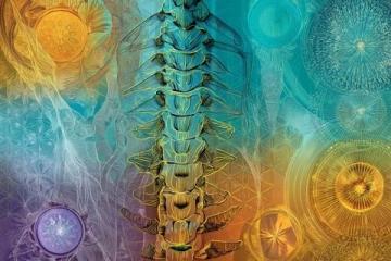 全面养生三秘诀:活力动养、心灵静养、灵魂富养