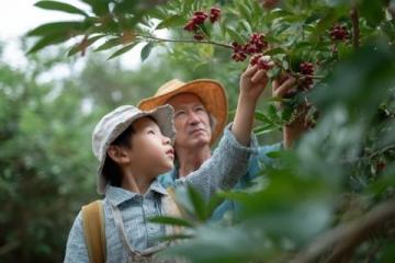 食养之道：用食物智慧守护身体健康