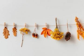 秋日养生指南:早睡早起防血栓,科学“秋冻”增强免疫力