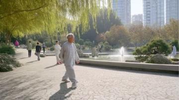 半年静心行走:中医修行者的身心蜕变之旅