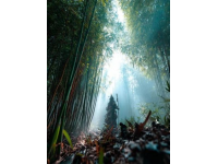 绿意秘境：浙江安吉竹海的植物精气养生之旅——深入探索自然的疗愈力量