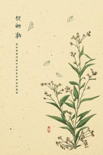春捂是中医养生中的一种传统观念,指春季气温虽逐渐回升,但天气多变、早晚温差大