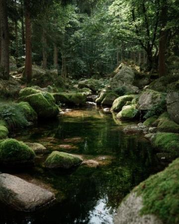静水流深:探寻真正的养生智慧