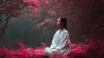 芒种之际,何以调节身心?