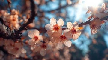 春季养生:科学春捂,内外兼修,温暖过春寒