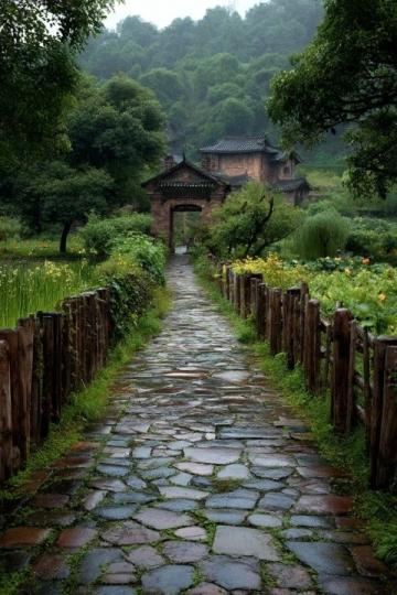 探索月照养生谷：六盘水避暑胜地的自然奇观与美食之旅