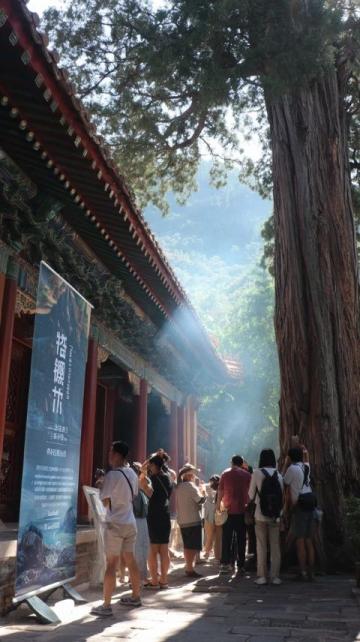 探秘邢台鹊王庙：穿越千年的中医药传奇之地