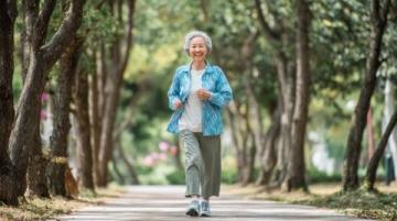 老人养生之道大全