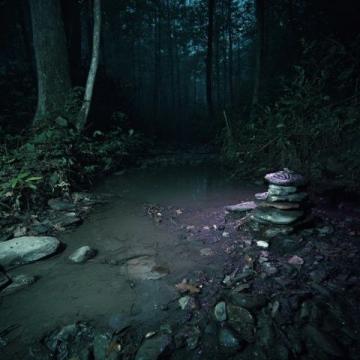 静水流深:探寻真正的养生智慧