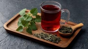 常饮桑叶茶，老人可能收获三大健康好处