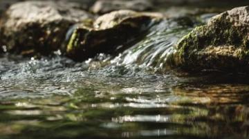 静水流深:探寻真正的养生智慧