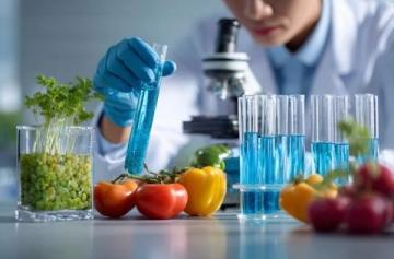 药食同源产业发展迅猛：从政策支持到市场需求驱动