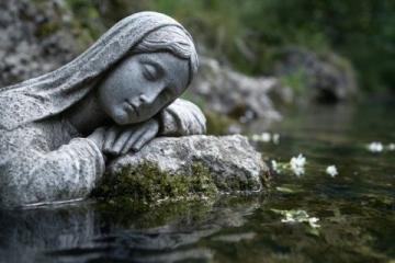 静水流深:探寻真正的养生智慧