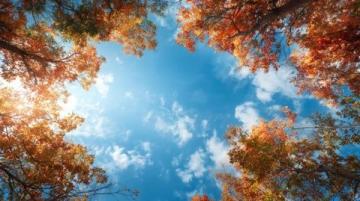 顺应季节变化:春捂秋冻养生谚语背后的科学依据与注意事项