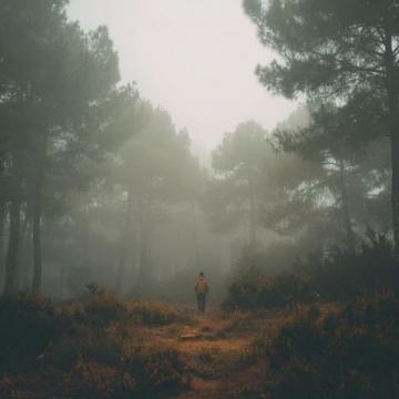 寻觅人生之路：揭开生命三大密语