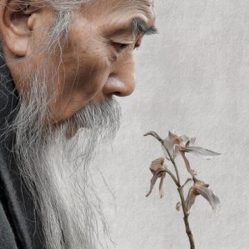 张仲景：古代医学巨匠与中医药的奠基人