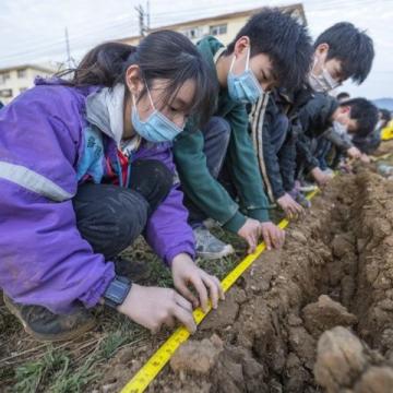 丛台区七方小学心理健康月活动纪实:快乐成长 心灵绽放