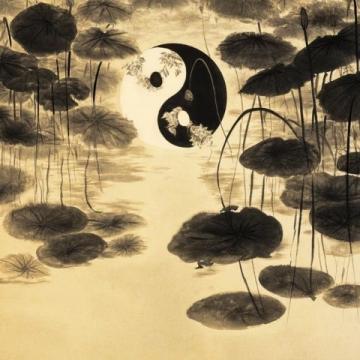 黄帝内经中的养生智慧:顺应自然与调和阴阳