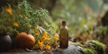 四季更替下的科学养生指南：顺应自然调节身心健康