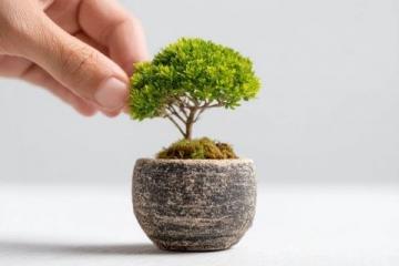 寻找持续活力的养生之道:为何你可能一直在努力但收效甚微?
