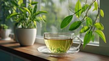 哪些茶最适合养生，对身体健康最有益？