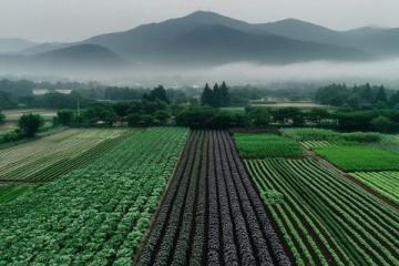粤地秋冬季养生之道