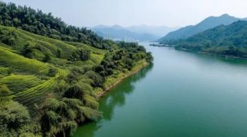 贵阳南明区举办自然采摘中草药活动弘扬中医药文化