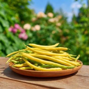 绿豆:千年药食谱中的五脏六腑清道夫