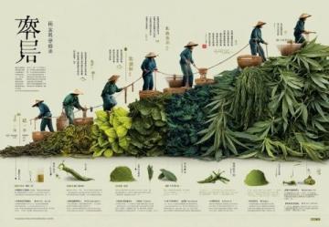 中医视角下的大米养生智慧与妙用解析