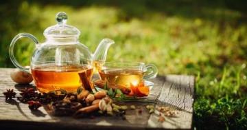 哪些茶最适合养生，对身体健康最有益？